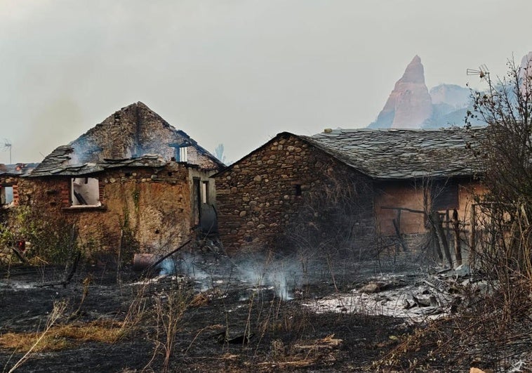 «Los servicios de extinción son muy buenos, pero la gestión forestal es muy mala»